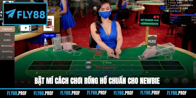 Bật mí cách chơi Rồng Hổ chuẩn cho newbie