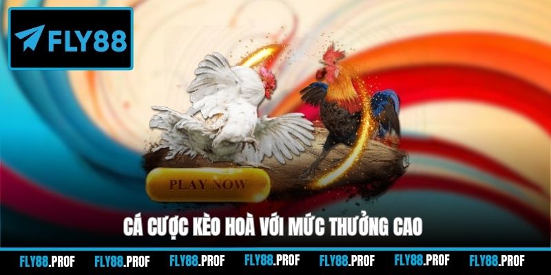 Cá cược kèo hoà với mức thưởng cao