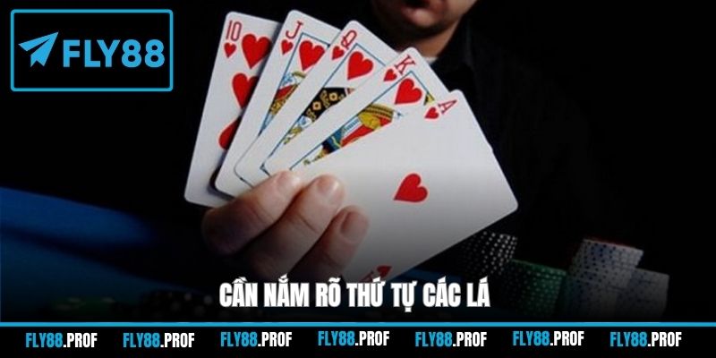 Cần nắm rõ thứ tự các lá