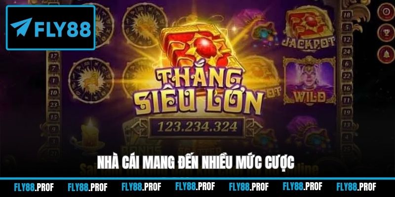 Nhà cái mang đến nhiều mức cược